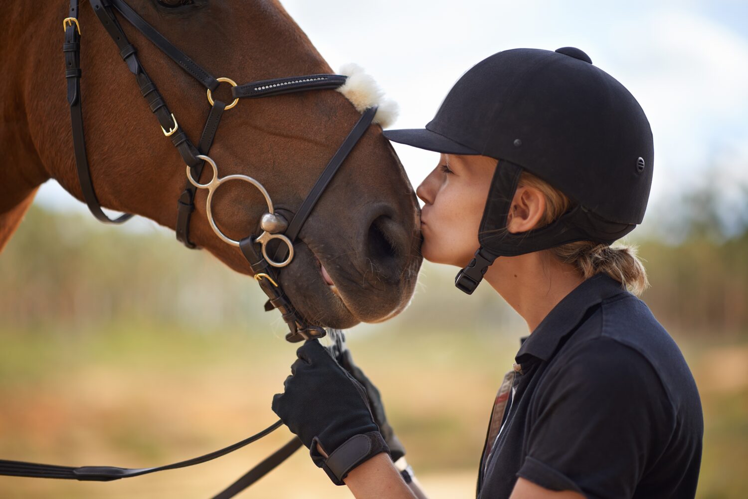 Horse and rider