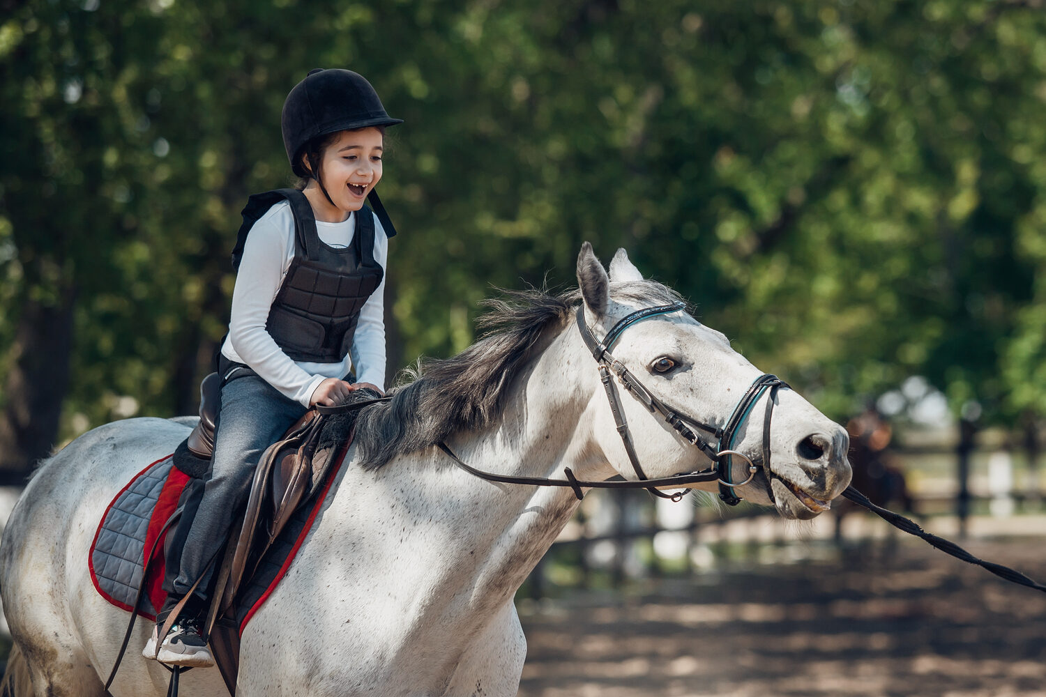 Rider training with horse