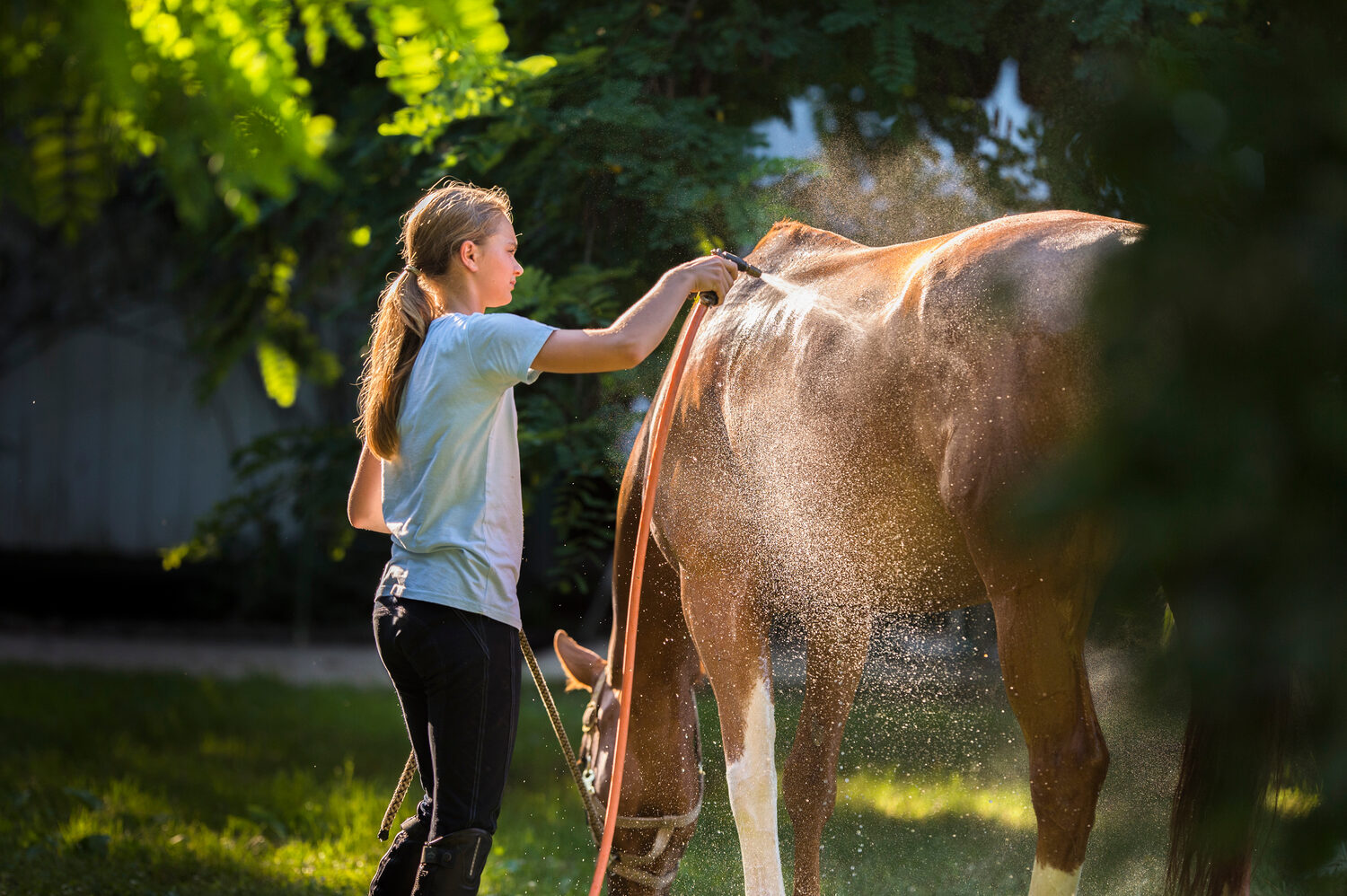 Elegant equestrian moment
