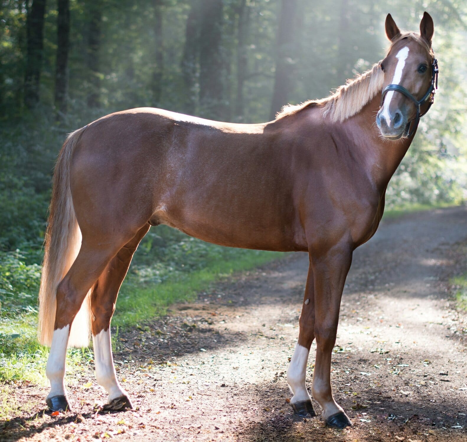 Copper