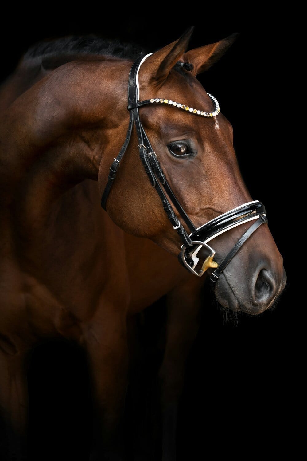 Apollo