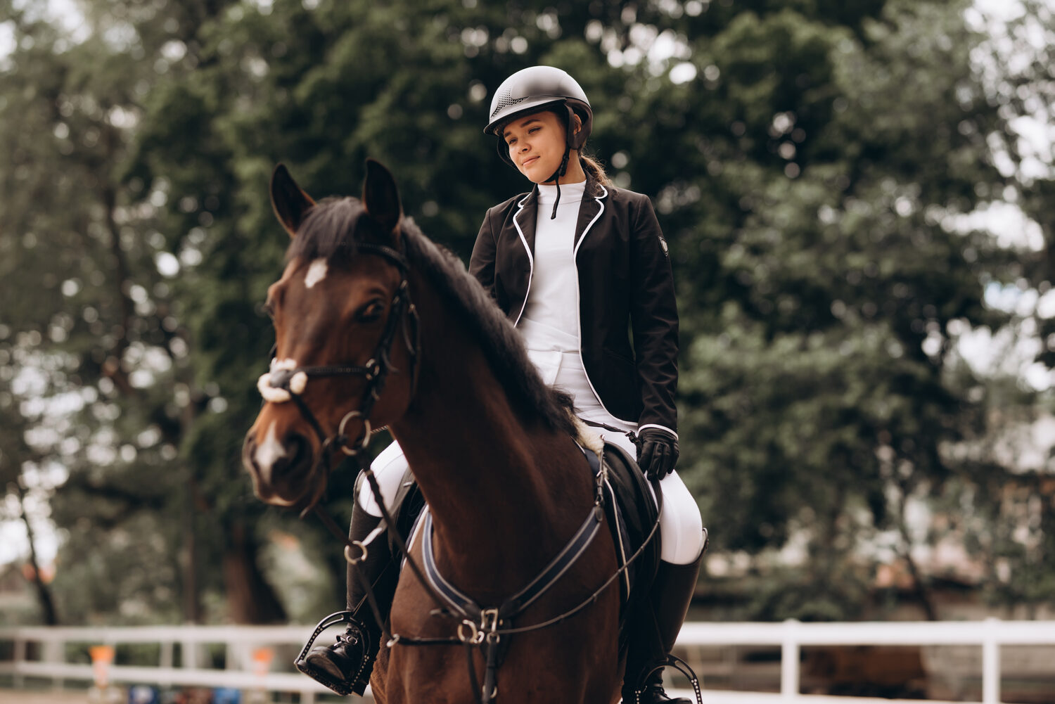 Dressage Fundamentals for All Levels