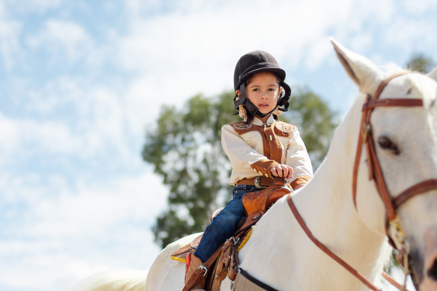Lynne's Riding Center Facility