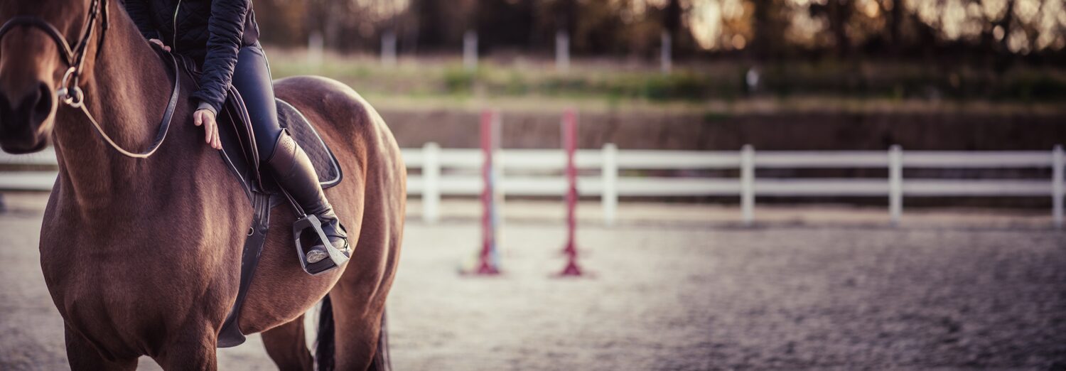 Mastering Horse Jumping Techniques