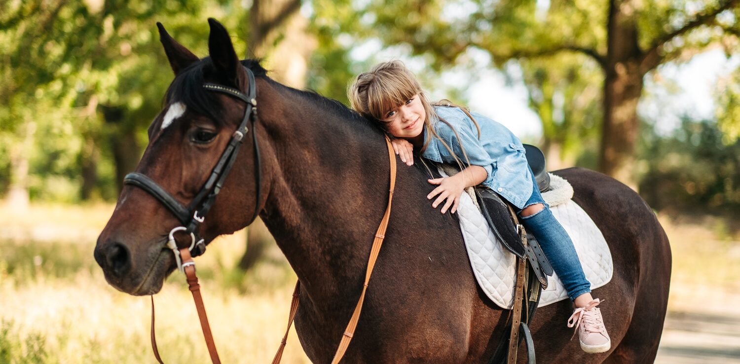 Grooming Your Horse: A Complete Guide