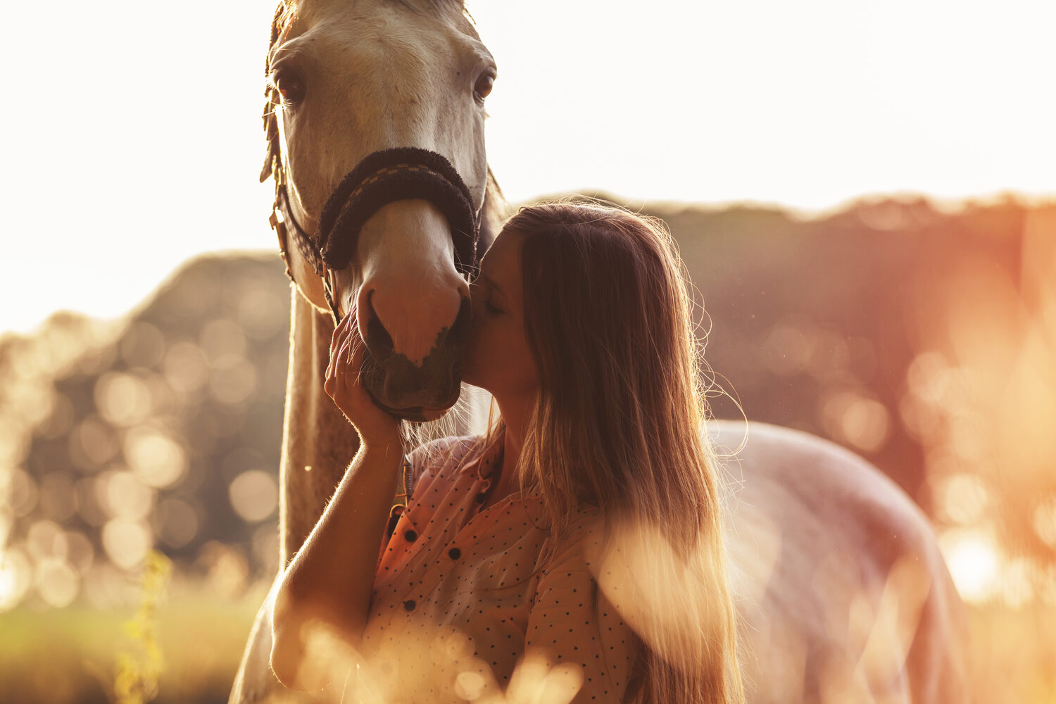 Trail Riding Safety Tips for Beginners